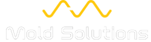 mold-solutions